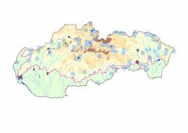 Attēlu rezultāti vaicājumam “Ceruchus chrysomelinus imago”