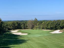 Image result for Falmouth and Helston Octopush Club