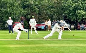 Image result for Woolpit Cricket Club