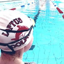 Image result for Loftus Dolphins Swimming Club
