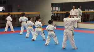 Image result for Windsor Higashi Karate Club