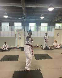 Image result for Action Karate