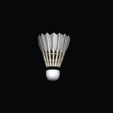 Image result for Blackford Bridge Badminton Club