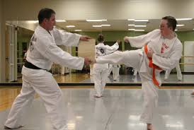 Image result for Parkgate Taekwondo Club