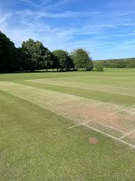 Image result for Saltwood Cricket Club