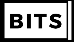 Image result for Bridge It