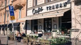 Attēlu rezultāti vaicājumam “Grus grus”