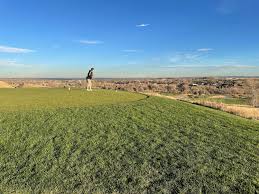 Image result for Fox Gc