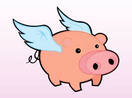 Image result for flying pigs