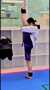 Image result for Swansea Taekwondo Club