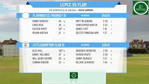 Image result for Flamingo Cricket Club