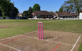 Image result for Knowle Cricket Club