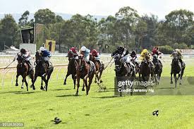 Image result for Clarendon Bowling Club