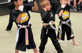 Image result for Action Karate