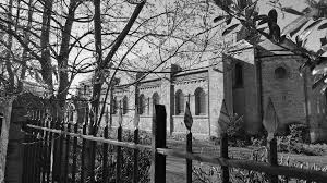 Image result for Chester-Le-Street & District Athletics Club