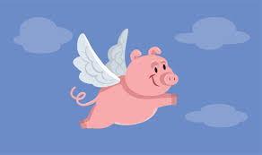Image result for flying pigs