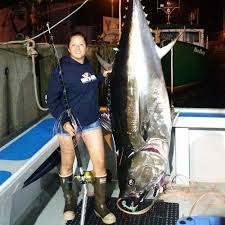Image result for giant tuna