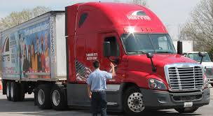 Image result for Netts