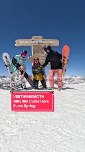 Image result for Go Mammoth