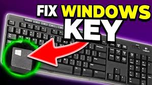 Image result for Windows key