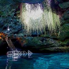 Image result for Atherton Devils