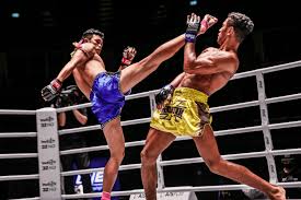 Image result for Muay Thai Clubs