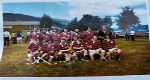 Image result for World of Shinty
