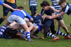 Image result for Bishop`s Stortford Rugby Football Club