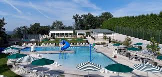 Image result for York University Pool Club