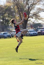 Image result for Pinehurst Netball Club