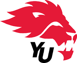 Image result for York University Futsal Club