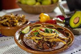 Attēlu rezultāti vaicājumam “Charales”