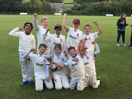 Image result for Bromsgrove Cricket Club