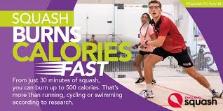 Image result for York Squash Rackets Club