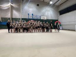 Image result for Merseyside Rhythmic Gymnastic Club