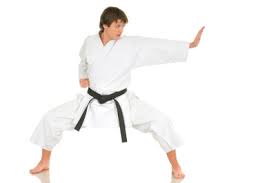 Image result for Plymouth Karate Club Kyokai