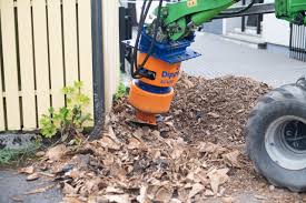 Image result for dipperfox tehron