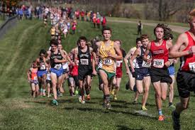 Image result for Windle Valley Runners