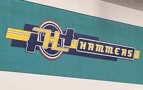 Image result for Sheffield Blazers