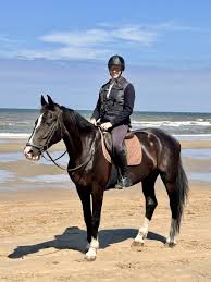 Image result for Elstead Riding Club
