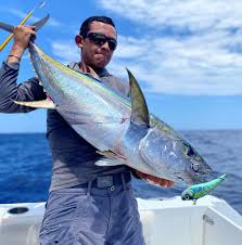 Image result for Sarda sarda