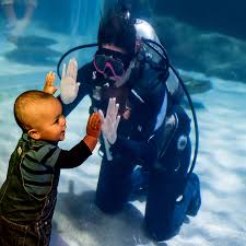 Image result for Dive Crew Scuba Diving