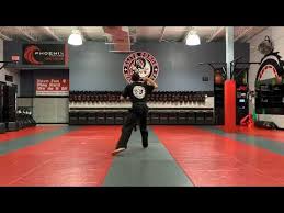 Image result for Elite Force Martial Arts