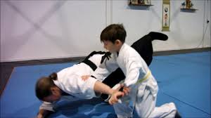 Image result for West Midlands Aikido Association Dojo
