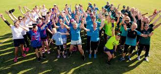 Image result for Redlynch and Hale Cricket Club