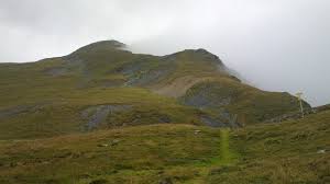 Image result for Eisenhut