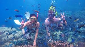 Image result for East Snorkellers