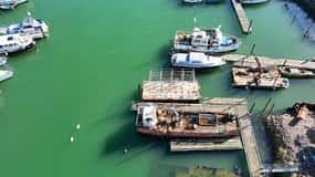 Image result for Lowestoft & District Canoe Club