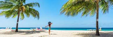 Image result for Dover Lifeguard Sc