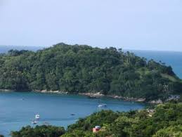 Image result for bombinhas